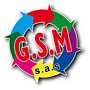 G.S.M. DI GIANNI MASALA & C. - 1